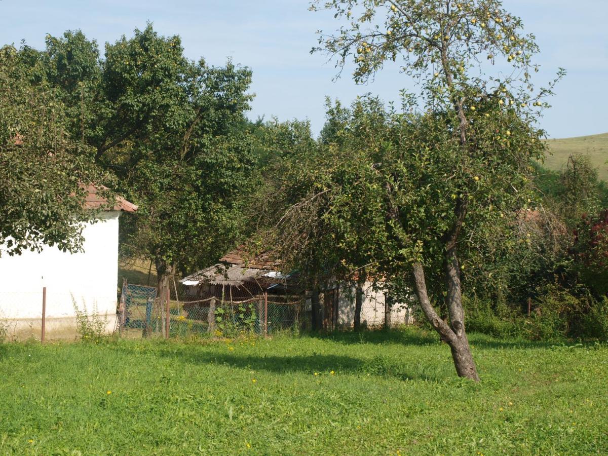 Rozsa Haz Csernely Exterior foto